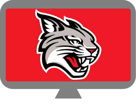 Davidson College Wildcat, Roary